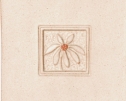 Carol-Bradley3